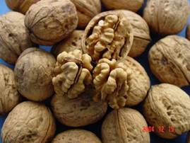 微信图片_20250814164748