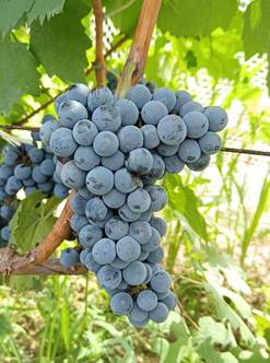 微信图片_20250831220647