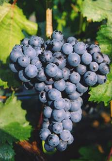 微信图片_20250831220700