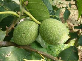 微信图片_20250814164111